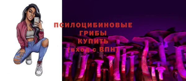 а пвп мука Армянск