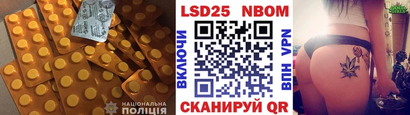 что такое наркотик  даркнет Telegram  ЛСД экстази кислота  Злынка 