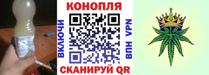 где найти Злынка площадка клад Конопля сатива